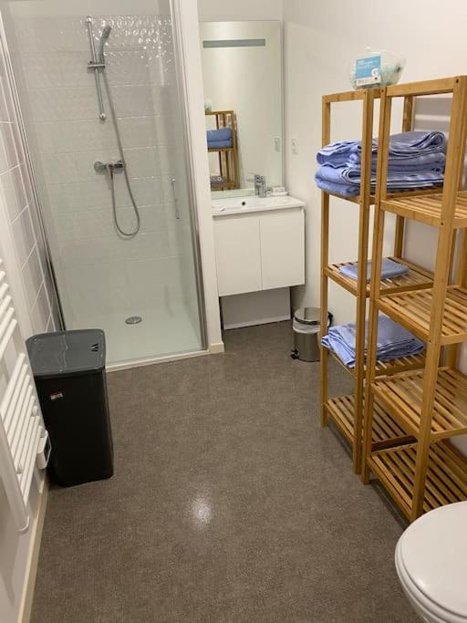 Appartement Aux Portes De Vannes Sene ภายนอก รูปภาพ